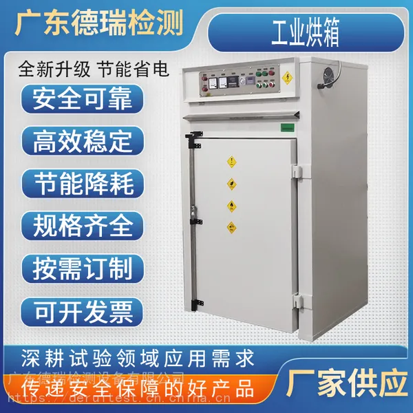 德瑞检测 电热恒温鼓风干燥箱 高温工业用热风循环烘箱 迷你小型干燥箱