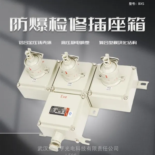 防爆防腐插座箱 带漏电保护防爆插座 SFCX-64A系列动力检修箱 接线箱