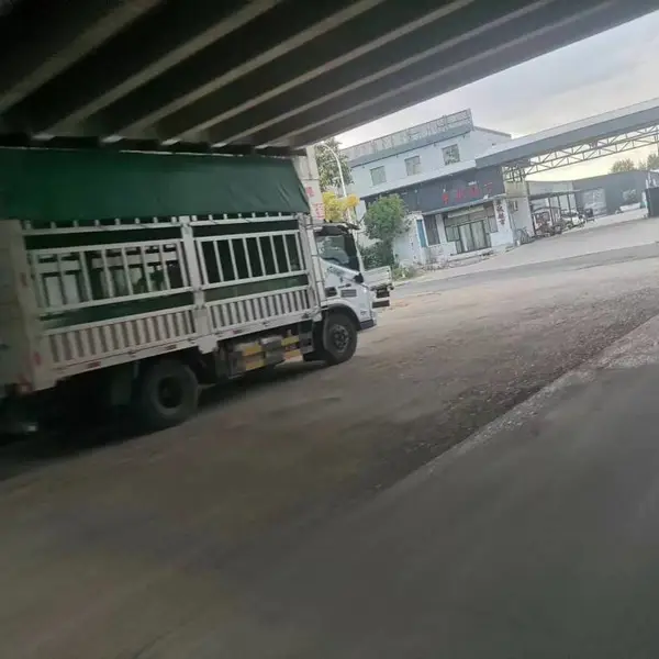 石家庄到吉林省物流公司-石家庄到吉林省货运专线-运输到达吉林省全境