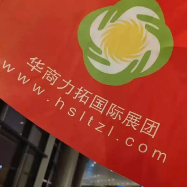�ж�ó��2024�����˹��������缼��չ��Ϊ��4��
