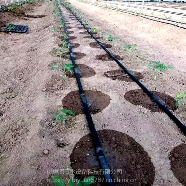 大棚草莓滴灌安装成本 草莓滴灌工程技术 草莓滴灌施肥技术