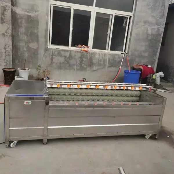 猪蹄清洗设备毛辊清洗机毛刷耐磨用得住厂家批发销售