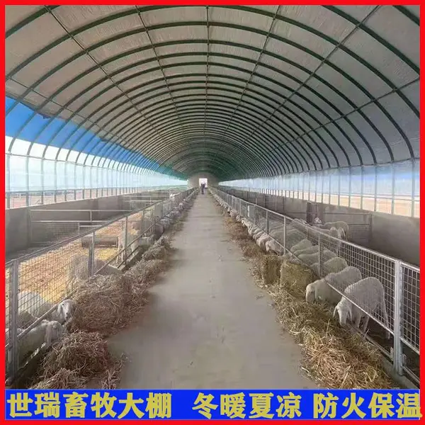 建设养羊大棚厂家 山羊养殖大棚搭建 养羊场规划