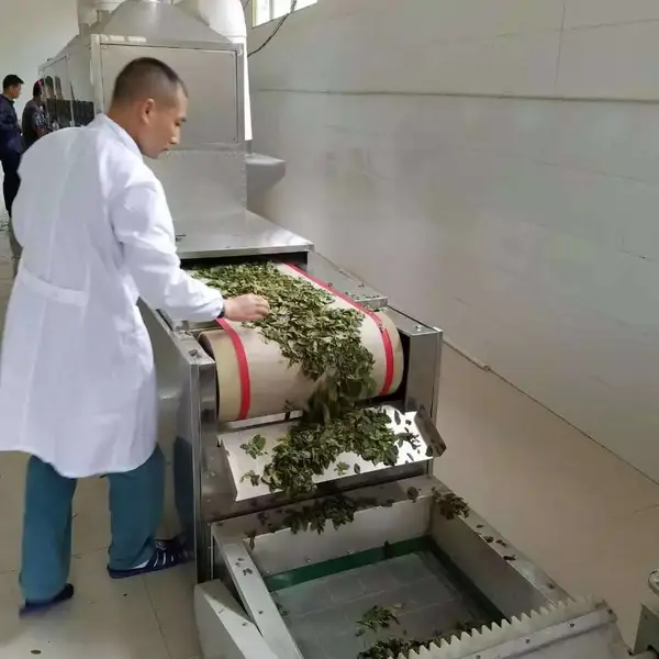 黄芽茶微波杀青机 白茶微波杀青机 独芽微波杀青机 芽尖微波杀青机