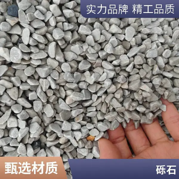 ��Ծ�� 8-15mm ˮĥʯ��ʯ�� ԰����·��ʯ�� �ְ� ������ɫ������