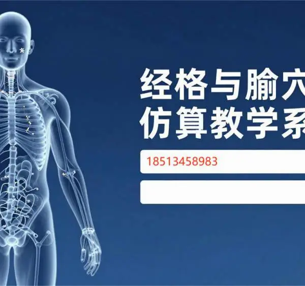 经络与腧穴仿真教学系统-微点云智中医虚拟仿真实训