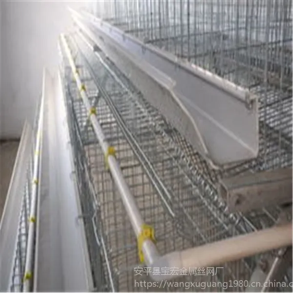 辽宁鸡笼厂家@辽宁蛋鸡笼价格@四门蛋鸡笼批发@辽宁哪里卖五门的蛋鸡笼