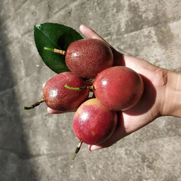 ���ʺ������Ӧ���ϰ����5���д��