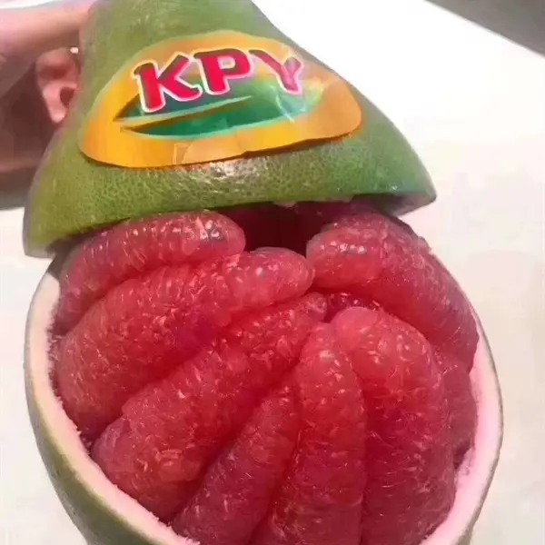 泰国红宝石青柚苗子价格/买一株青柚苗要多少钱/什么季节栽种