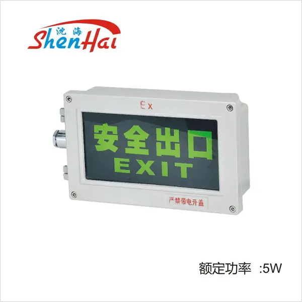 新款BYY51系列防爆标志灯(ⅡB、ⅡC、DIP) 应急、警示照明灯具
