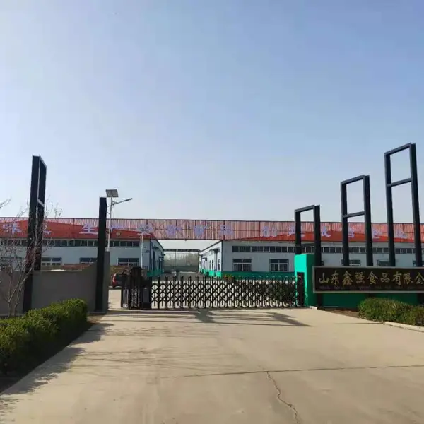 山东调味品酱料粉料代加工厂家