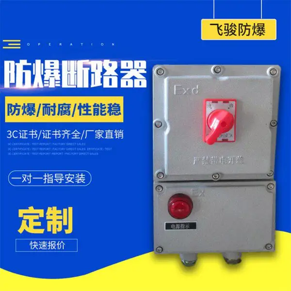 厂家直供 BDZ52防爆断路器 漏电开关 空气开关 旋钮开关