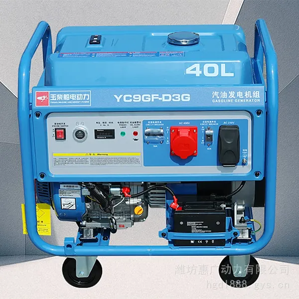 玉柴YC9GF-D3G汽油发电机 10KW移动式汽油发电机组 双电压