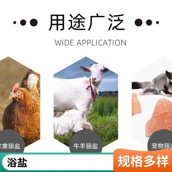 硅胶拍拍灯定制 搪胶彩色小夜灯定制 卧室床头灯触控LED变色灯 塑胶公仔批发