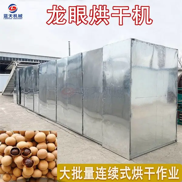大型链条式龙眼烘干机 网带龙眼干桂圆干烘干设备 全自动烤龙眼干机