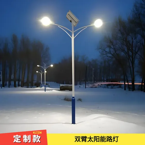 乡村振兴款太阳能路灯 7米40瓦LED金豆灯具 60瓦规格光伏板
