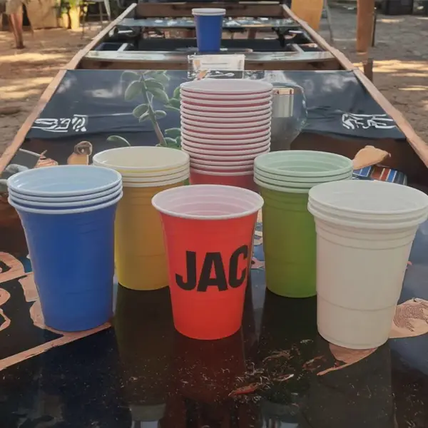 双色杯PSPP杯 beerponggame杯酒吧club派对游戏杯