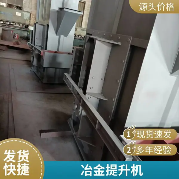 大型提升机 铸造厂用链条斗提机 福建重型机械厂现货