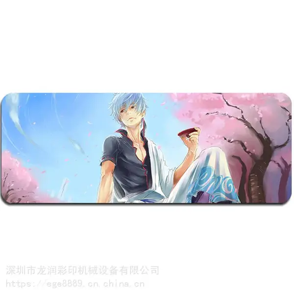东莞LR-2513定制潮流键盘数码彩印机/PVC广告鼠标垫打印机/定制小号鼠标垫印刷机