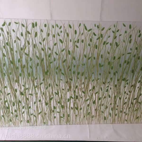 ���� ����3form��Ƭ��֬�����