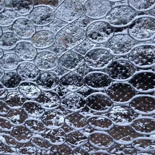 ����ѡ����������� ֩�������� �������������� ɽ�°�ȫ������