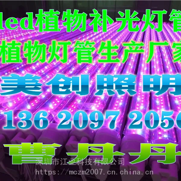 led���ʴ���ֲ�ﲹ���200W�����