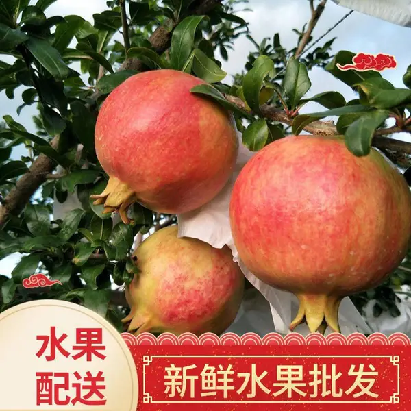 �� ��ˮ���� ���г������������� ȫƷ��ʱ��Ӧ��ˮ��