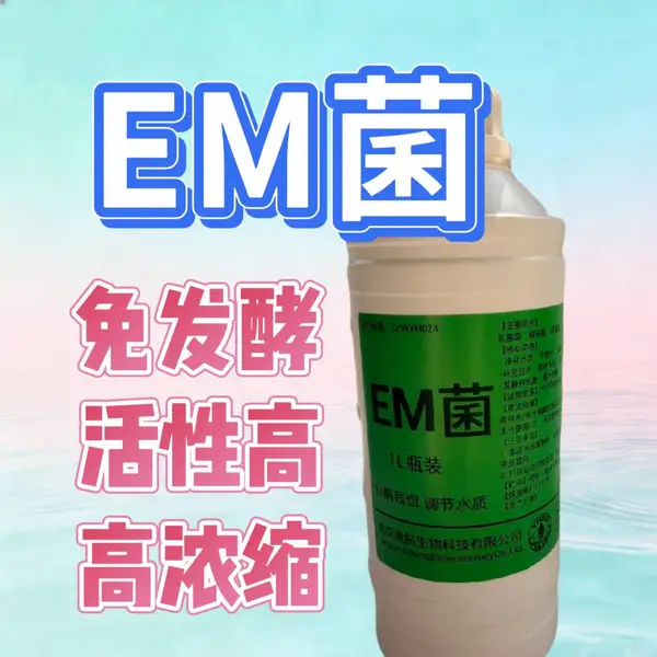 免发酵EM菌液 水产益生菌 降氨氮亚盐 净化水体 提升成活率