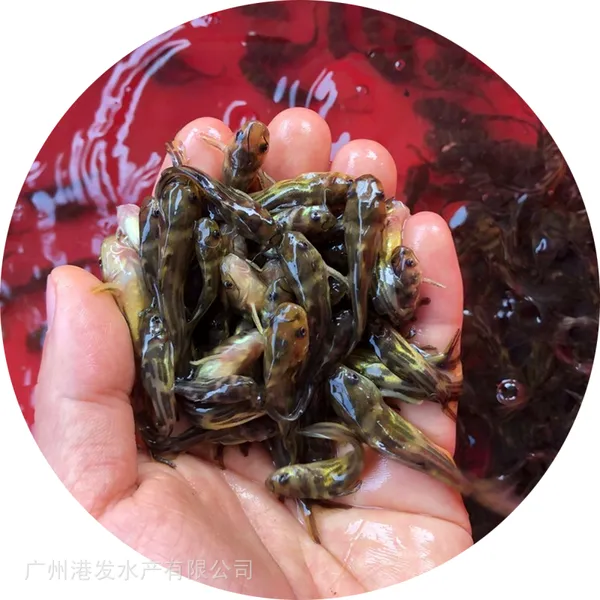 �۷����糡 �������ۻ�������� �ƹ��� ������ �߲������ܶ� ���ɻ�