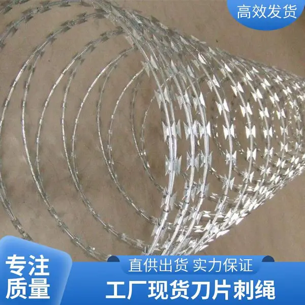 �߸��ε����� ��п���� �����߽���� רҵ����ӹ�
