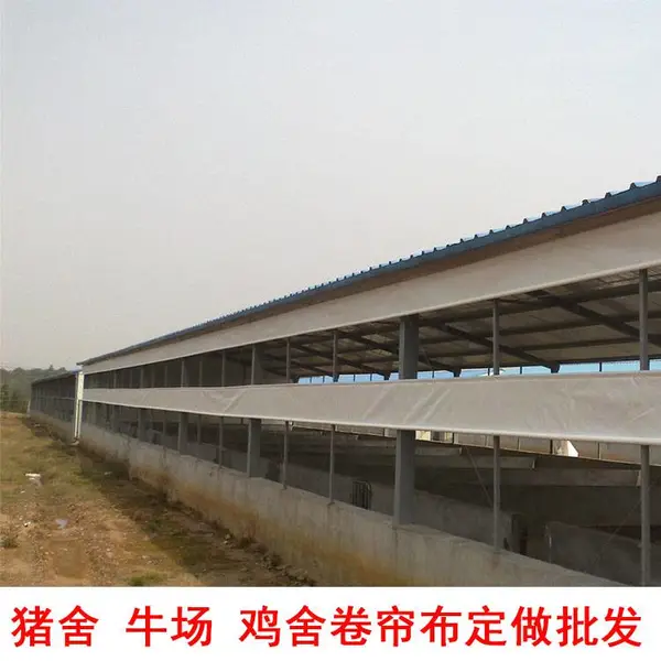定制猪舍卷帘布 牛栏卷帘布 养殖场牛场卷帘布***格
