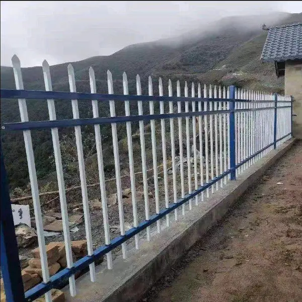 С��Χ�� ����ͥԺп�ַ���п�����ո��뻤������������