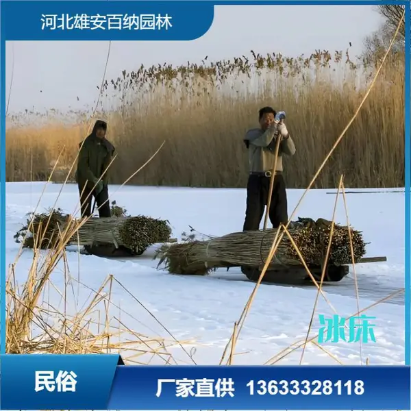 诚售 冰床 白洋淀冰上交通工具 冰爬犁 民俗老物件 冬季冰上娱乐工具