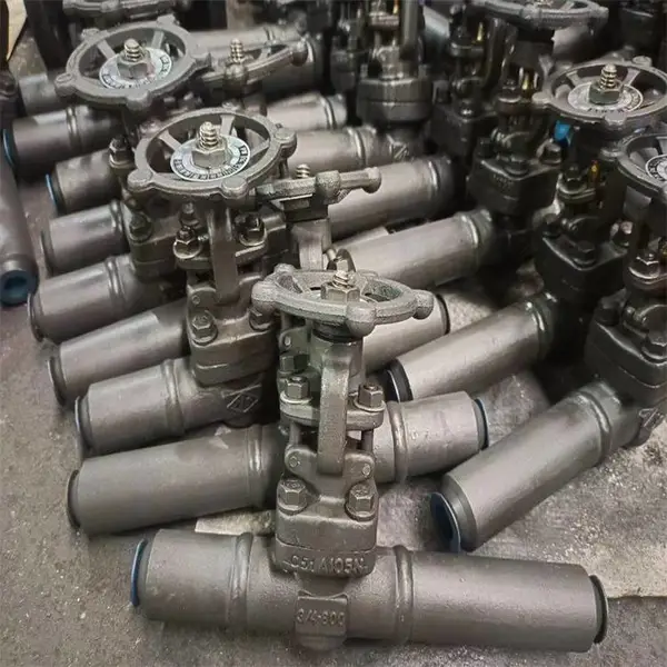 Z61H-800LB DN32 SW承插焊/NPT内螺纹 江苏省阀门经销商