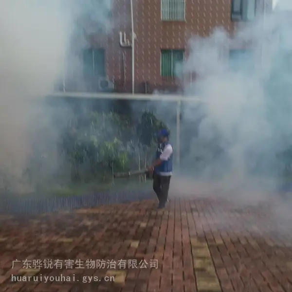 上海蚊虫防治 上海除马蜂窝本地公司 一次清理到位