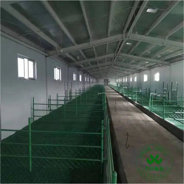 塑料羊粪板羊床漏粪板波尔山羊现代化羊圈羊粪板规格参数