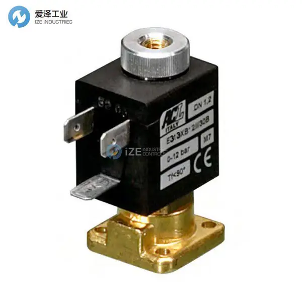 ACL线圈E313XV12///30E