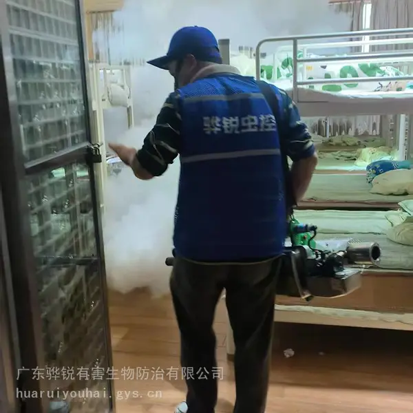 玉林食堂除虫 玉林杀虫灭鼠服务 24小时预约 快速响应上门