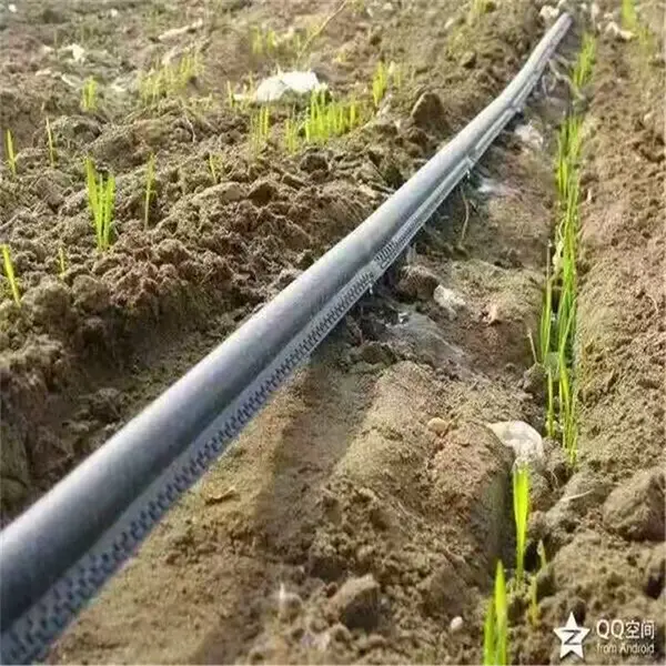 ɽ����ȿ����豸΢��ͷũ�����Զ����ϵͳ