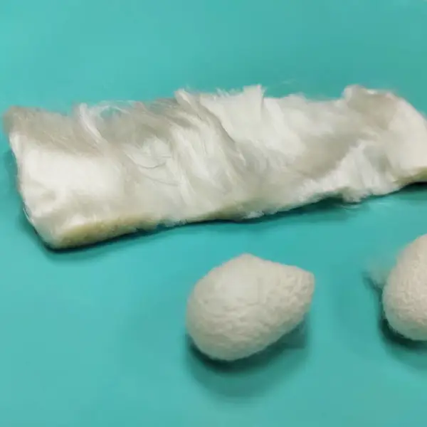 水刺用天然蚕丝短纤 蚕丝无纺布原料 38—80mm