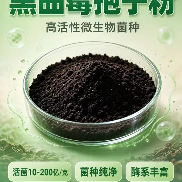 黑曲霉孢子粉食醋酿造糖化曲精农田畜禽粪秸秆堆肥腐熟用菌种