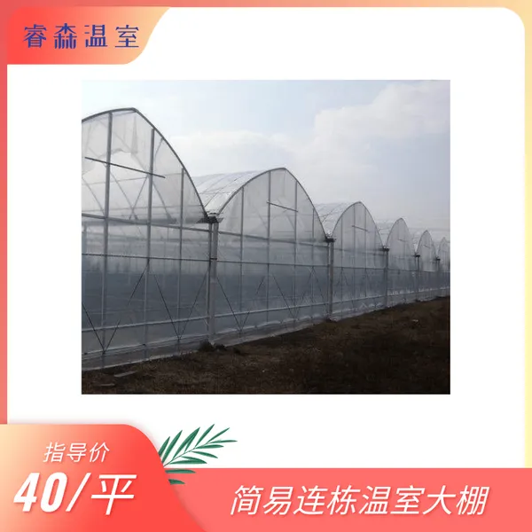 薄膜温室 连栋温室 简易连栋 蔬菜大棚 生态种植大棚