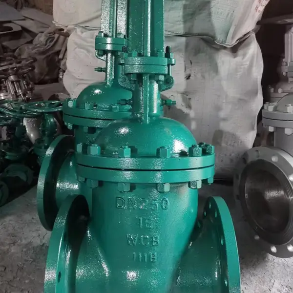 NKZ41H-64C DN150����ˮ��բ���������ֲ������ո��뷧��