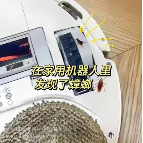 广西除蟑螂 广西商铺灭蚊蝇机构 快速响应 长效防控
