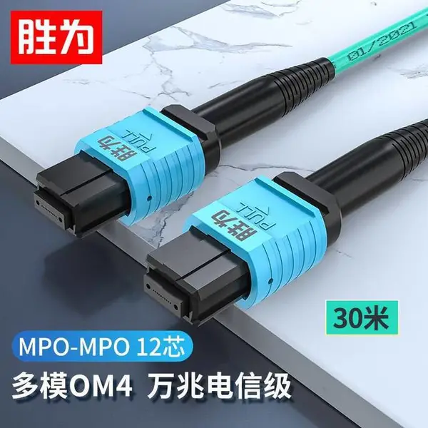 ʤΪ12о om4����MPO-MPO�������� 30��