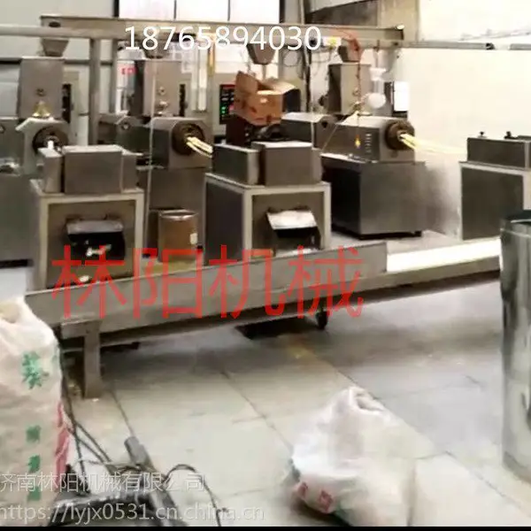 林阳油炸膨化食品设备,牛肉卷蔬菜卷设备,膨化食品加工设备