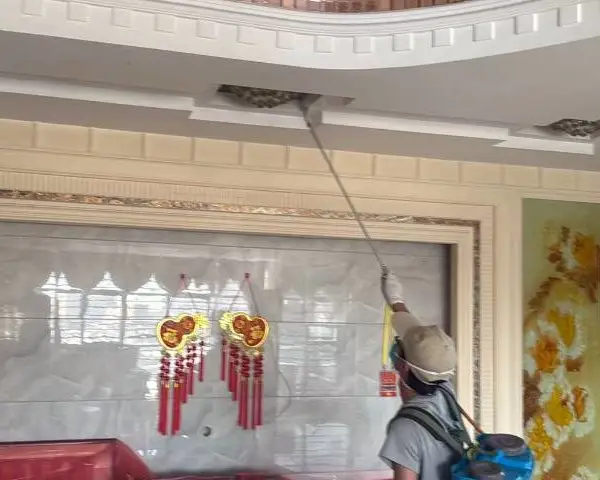 ���γ溦������ѯ���� �������� ����ʡ���λ����Ƽ���Ӧ