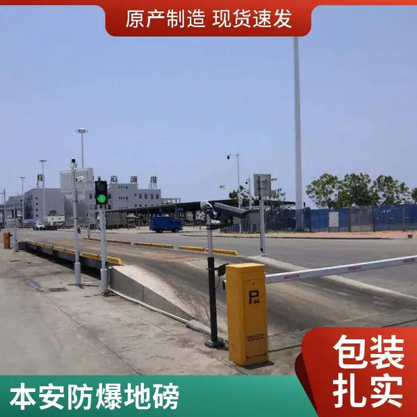 地磅咨询 揭阳地磅厂家 50吨电子地磅 养殖场用
