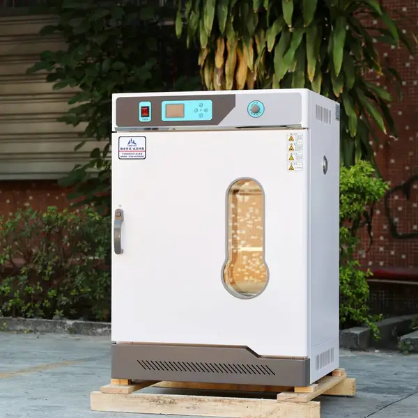 圆形真空干燥箱 生物医药实验室用真空烘箱 可定制尺寸