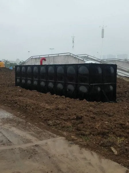 河北保定 地埋式箱泵一体化 箱泵一体化供水设备